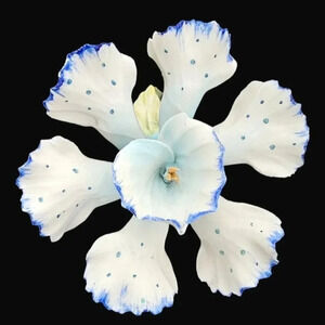 Vtg Capodimonte White / Blue Orchid Flower Italy Marked N w Crown L. Riole